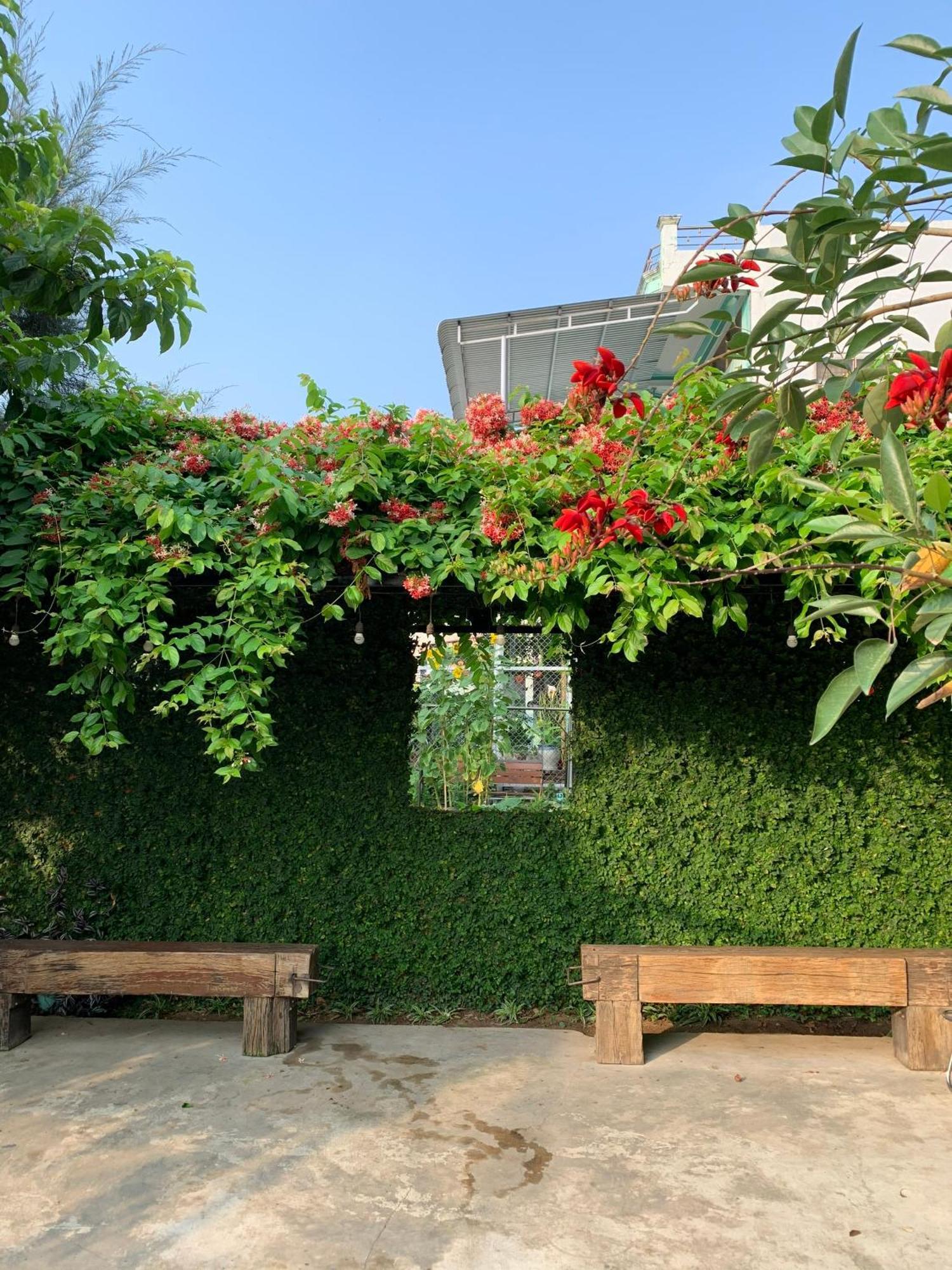 Yellow Farm Homestay Dong Tac Buitenkant foto