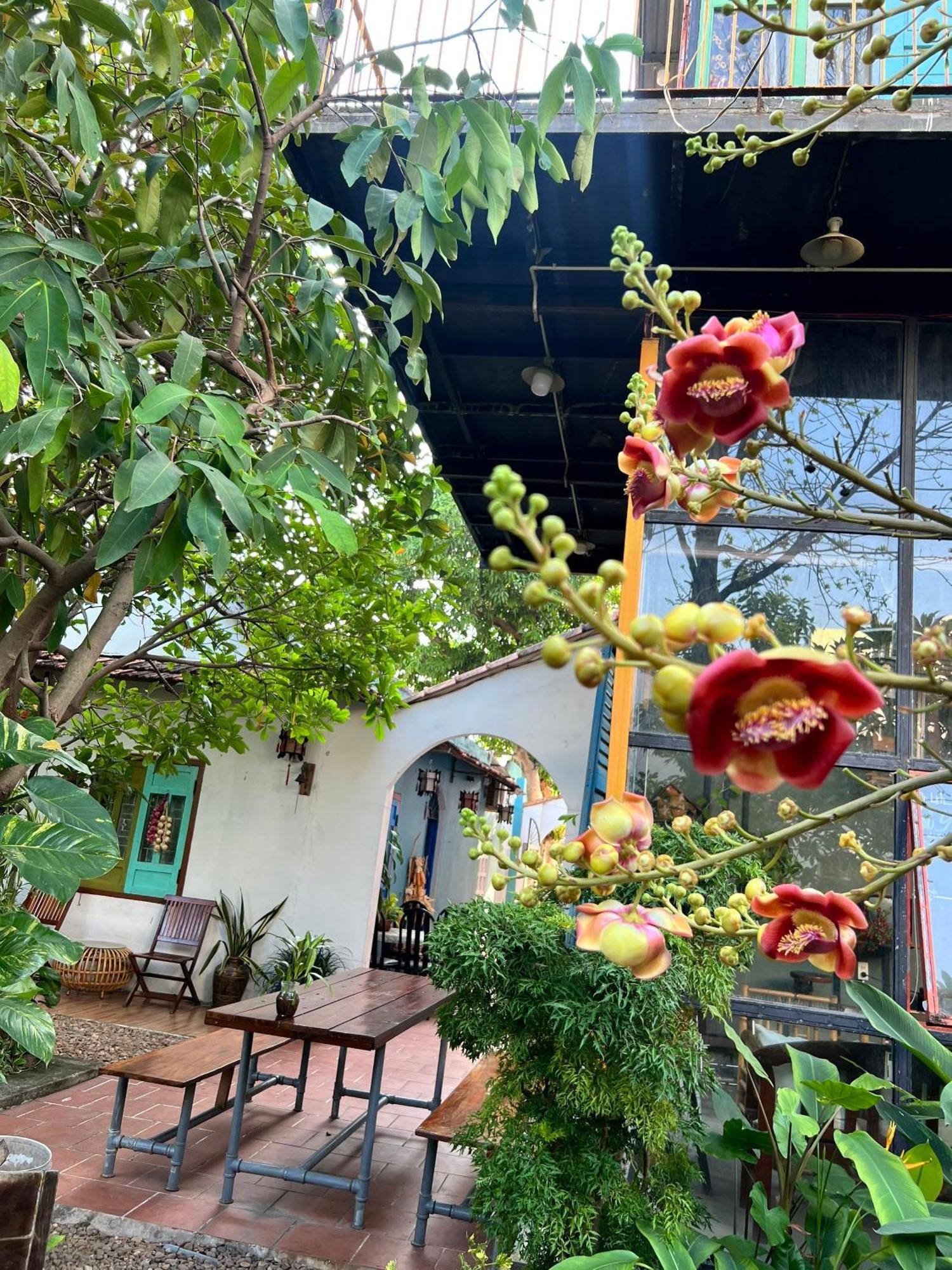 Yellow Farm Homestay Dong Tac Buitenkant foto